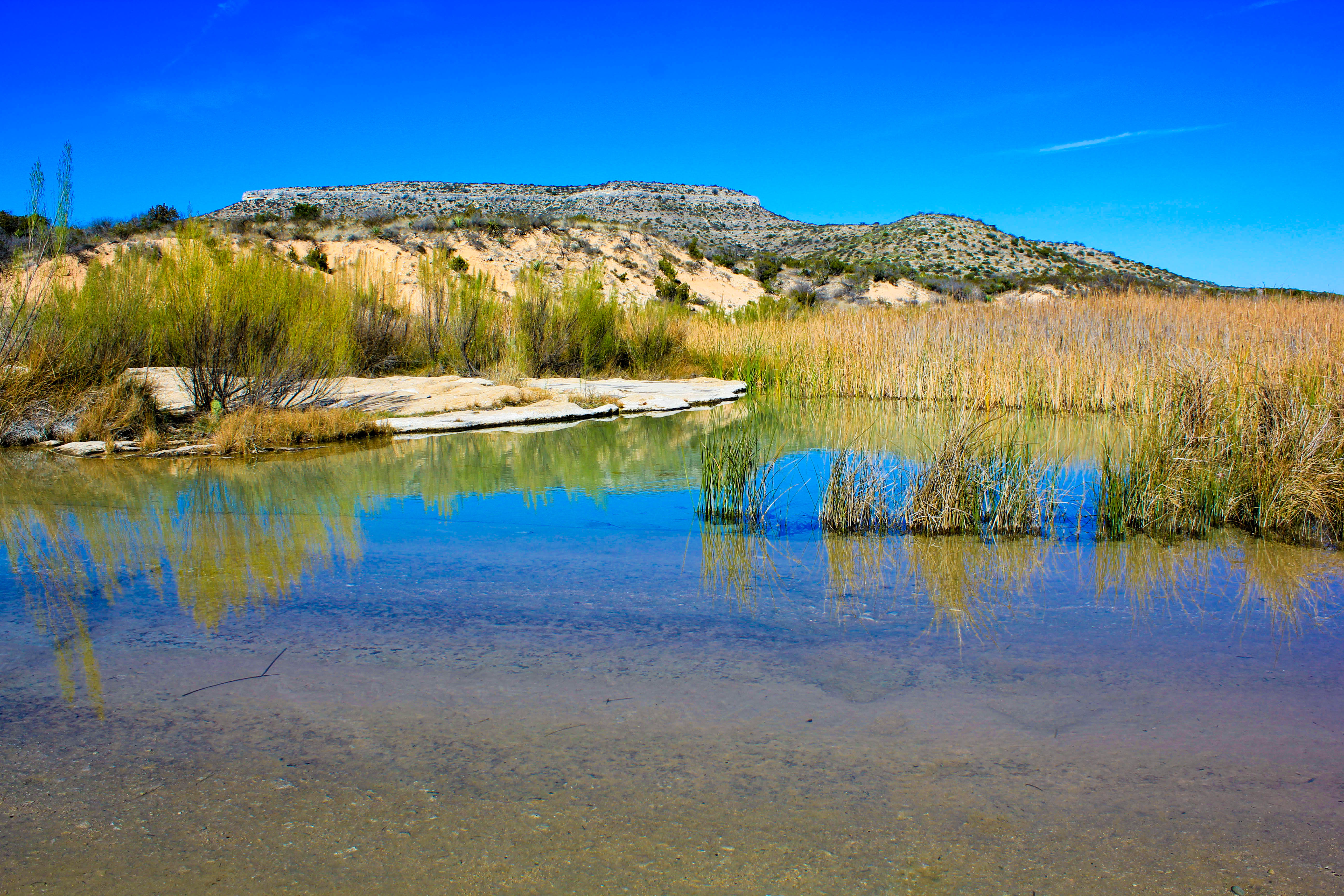 Live Oak Ranch - Crockett County, TX - 15,395 Acres :: Bunger Real Estate